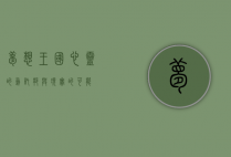 梦想王国，心灵的乌托邦与现实的可能