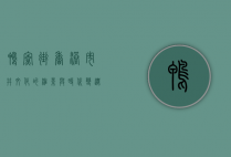 鸭寮街，香港市井文化的缩影与时代变迁的见证
