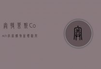 奥特莱斯Coach官网，购物新体验与品牌价值的完美结合