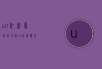url什么意思（找不到url什么意思）