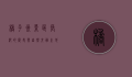 橘子洲景区，长沙的历史与自然交融之地