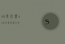 sb是什么（sb是什么电器元件）