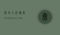 泰晤士河，伦敦的灵魂与历史的见证