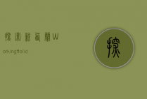 探索新西兰Working Holiday，一场文化与自然的深度体验