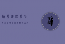 浦东国际机场停车场，现代化设施与高效管理的典范