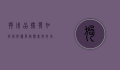 狗用品批发，如何选择优质供应商与市场趋势分析