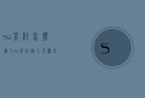 su素材怎么导入（su素材导入不显示）
