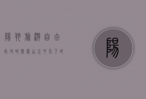 阳朔旅游自由行攻略，探索山水甲天下的绝美之地
