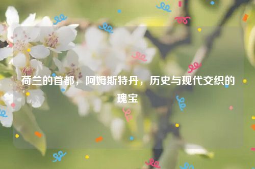 荷兰的首都，阿姆斯特丹，历史与现代交织的瑰宝
