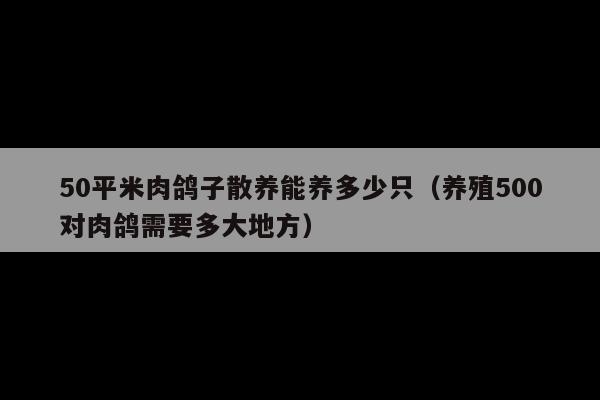 50平米肉鸽子散养能养多少只(养殖500对肉鸽需要多大地方)