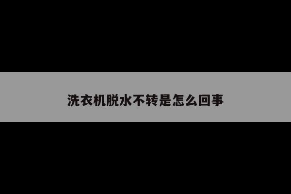 洗衣机脱水不转是怎么回事