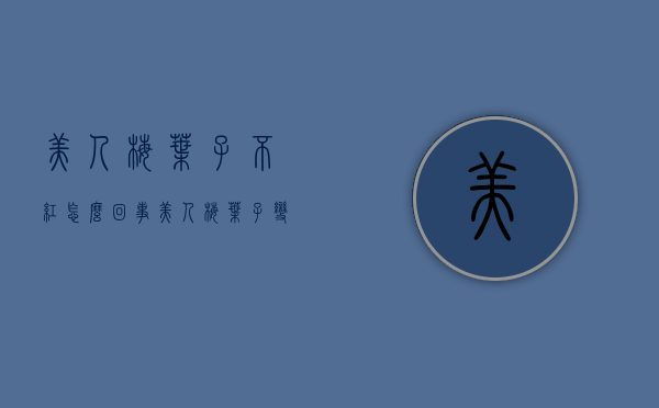 美人梅叶子不红怎么回事（美人梅叶子变红）