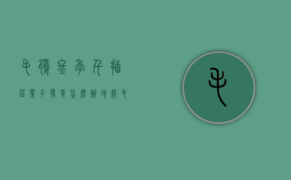 毛鹃冬季仟插苗叶子发黄怎么办（地栽毛鹃的养护）