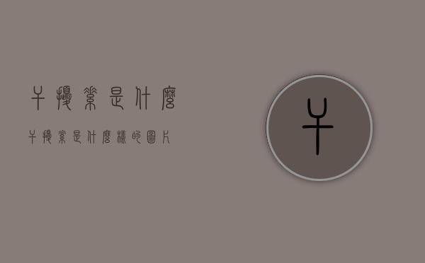 干扰素是什么（干扰素是什么样的图片）