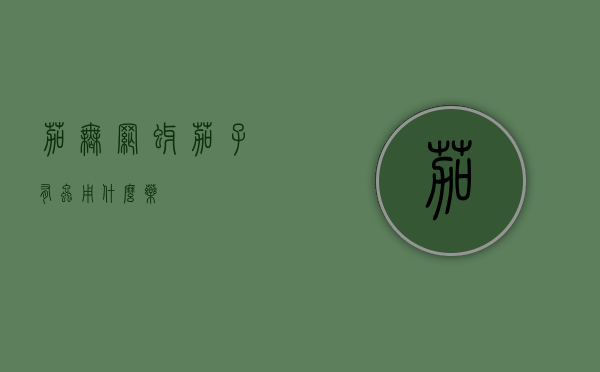茄无网蚜（茄子有虫用什么药）