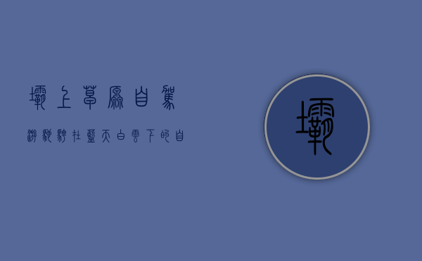 坝上草原自驾游，驰骋在蓝天白云下的自由之旅
