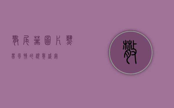 散尾葵图片，热带风情的视觉盛宴
