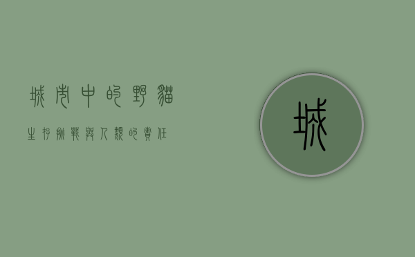 城市中的野猫，生存、挑战与人类的责任