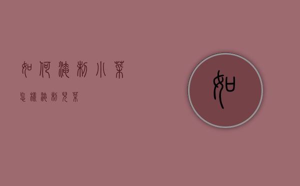 如何淹制小菜（怎样淹制儿菜）