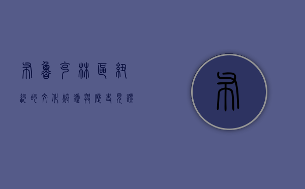 布鲁克林区，纽约的文化熔炉与历史见证