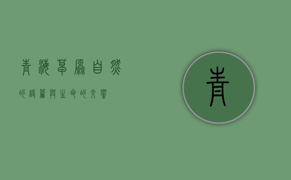 青海草原，自然的诗篇与生命的交响