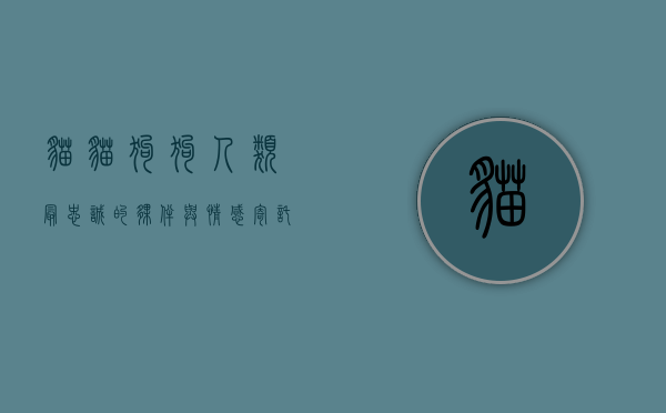 猫猫狗狗，人类最忠诚的伙伴与情感寄托