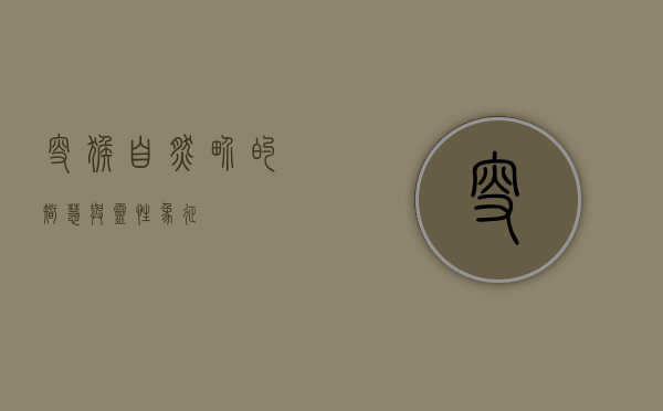 叟猴，自然界的智慧与灵性象征