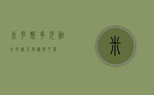 米克斯，多元融合的魅力与无限可能
