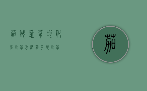 茄科蔬菜地化学除草方法（茄子地除草）