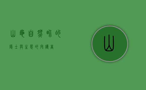 山龟，自然界的隐士与生态的守护者