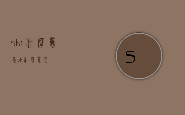 skr什么意思（sk什么意思）