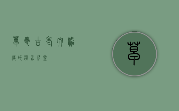 草龟，古老而神秘的淡水精灵