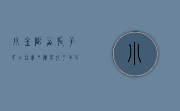 小金刚菩提子多少钱（小金刚菩提子多少钱一斤）
