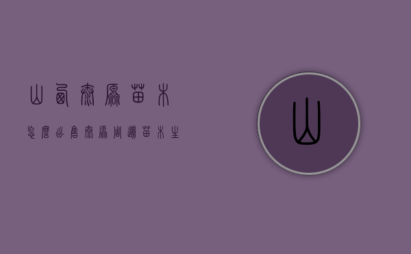 山西太原苗木怎么出售（太原周边苗木生产基地）