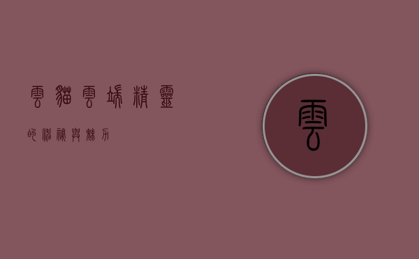 云猫，云端精灵的神秘与魅力