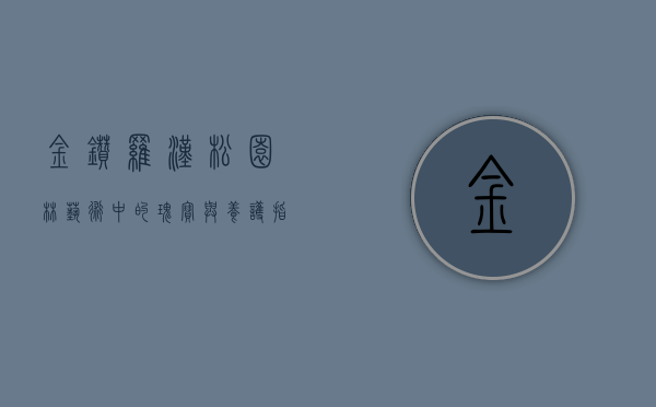 金钻罗汉松，园林艺术中的瑰宝与养护指南