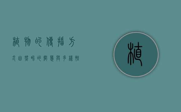 植物的传播方式，自然界的智慧与多样性