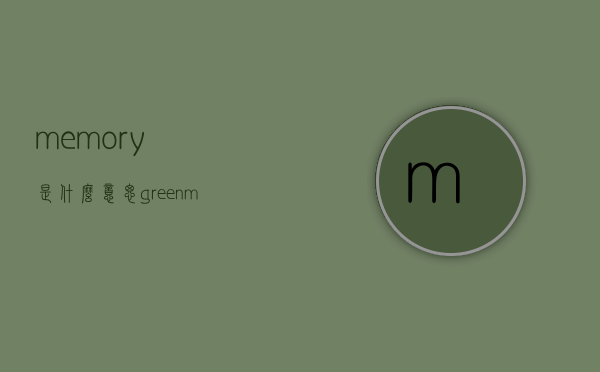 memory是什么意思（greenmemory是什么意思）