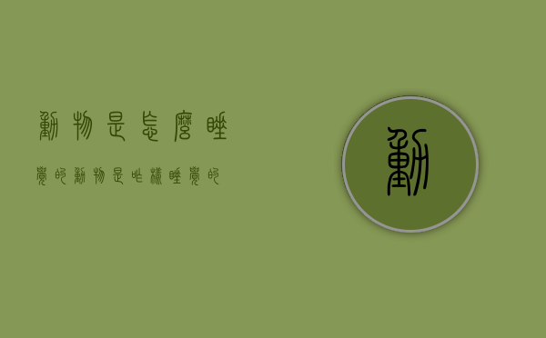 动物是怎么睡觉的（动物是咋样睡觉的）