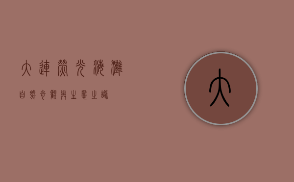 大连荧光海滩，自然奇观与生态之谜