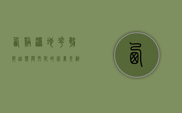 西溪湿地花朝节，自然与文化的完美交融