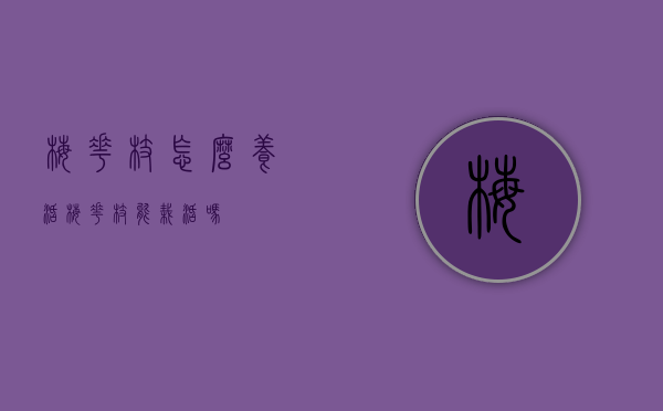 梅花枝怎么养活（梅花枝能栽活吗）
