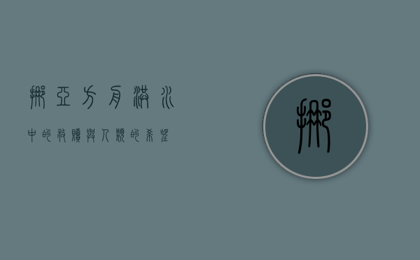 挪亚方舟，洪水中的救赎与人类的希望