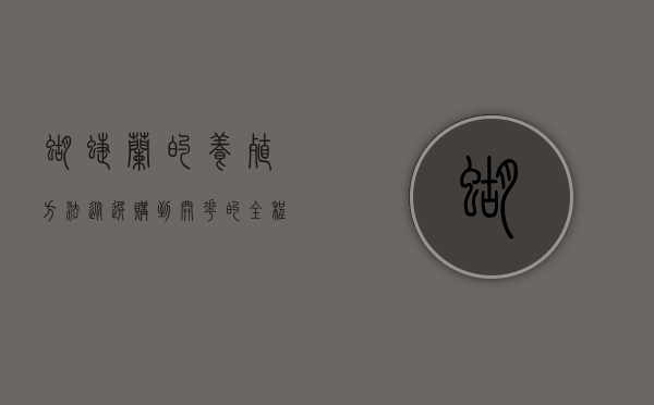 蝴蝶兰的养殖方法，从选购到开花的全程指南