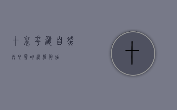 十里花海，自然与心灵的浪漫邂逅