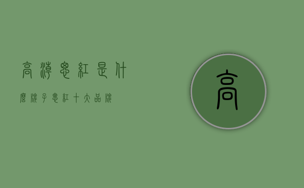 高潮腮红是什么牌子（腮红十大品牌）