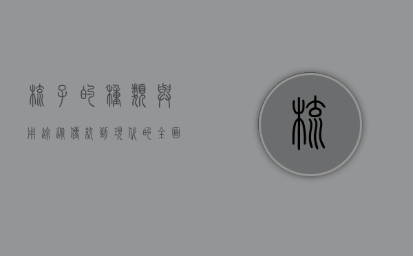 梳子的种类与用途，从传统到现代的全面解析