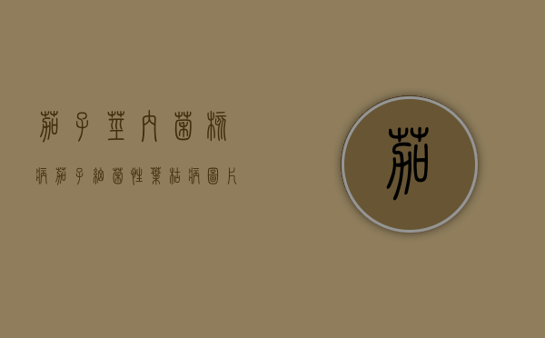 茄子茎内菌核病（茄子细菌性叶枯病图片）