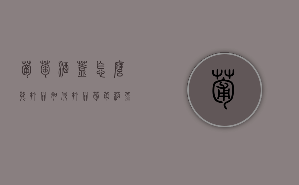 葡萄酒盖怎么能打开（如何打开葡萄酒盖）
