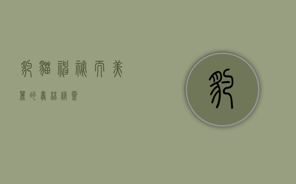 豹猫，神秘而美丽的丛林精灵